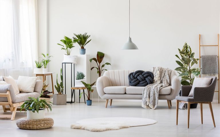 Как выбрать цвет дивана для вашей гостиной